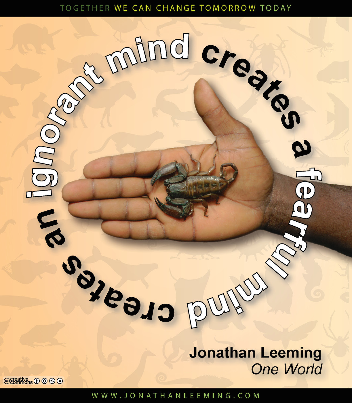 Ignorant Mind